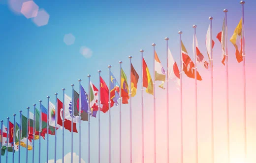 Cross Border Employment